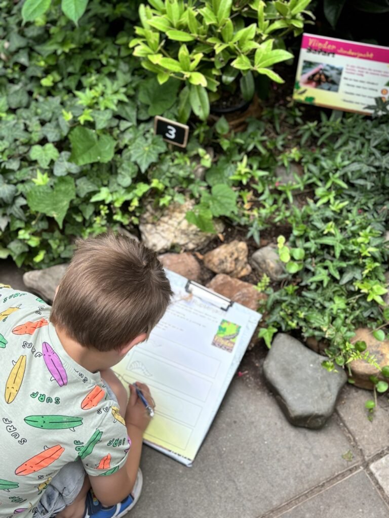 vlinder safari